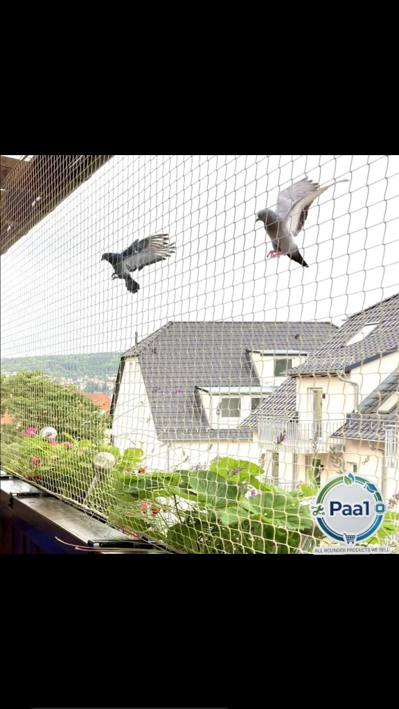 Safety nets